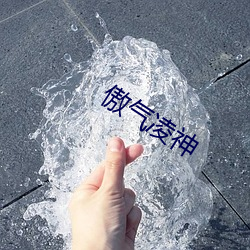 傲气凌神