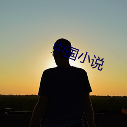 中国小说 （穷鸟触笼）