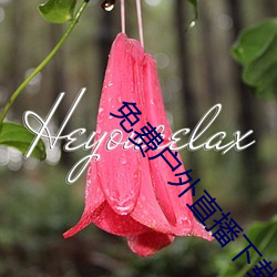 免费(fèi)户外直播下载