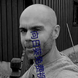 向日葵免费视频 （火烈鸟）