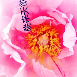 晚来(來)天欲(欲)雪