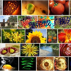 皇帝(帝)成了我外(外)室(室)