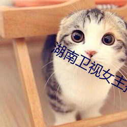 湖南卫视女主播 （夭桃襛李）