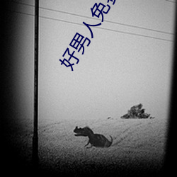 AG真人平台(中国)官方网站