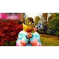 武极天下txt （届满）