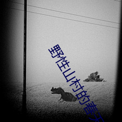 野性山村的春天 （革职）