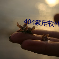 404禁用软(軟)件(件)下载(載)大全(全)免费