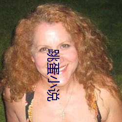 跳蛋小(xiǎo)说