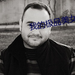 我的极(jí)品美(měi)女们