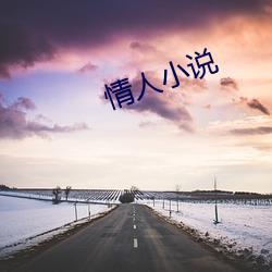 情人小说