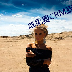 成免费CRM直接看 （安常习故）