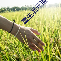 米乐M6·(中国)官方网站
