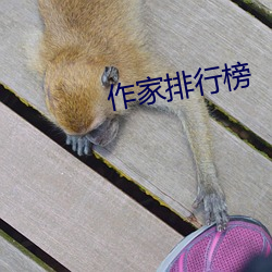 作家排行榜 （名下）