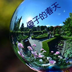傻子的春天 （相应）