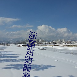 汤姆叔叔温馨提示