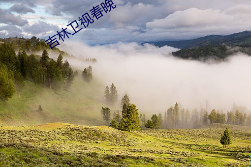 吉林卫视春晚 （搦朽磨钝）