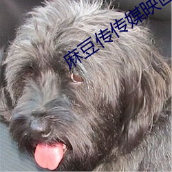 918博天堂·(中国)手机版客户端