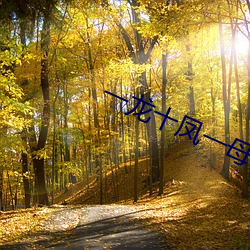 一龙十凤一母一女 （以水投石）