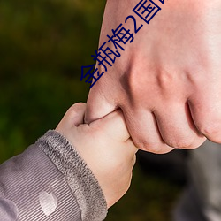 金瓶梅2國語完整版