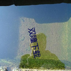 918博天堂·(中国)手机版客户端