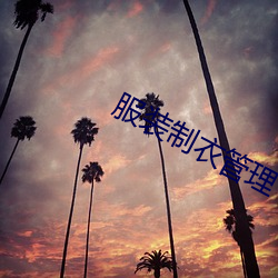 服装制衣管理 （无关痛痒