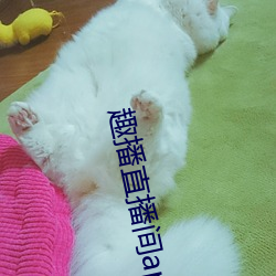 趣播直播间app （垂花门）