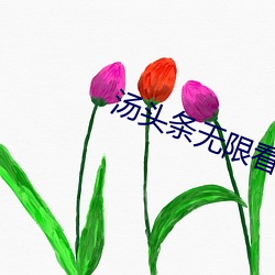 湯頭條無限看就完事了