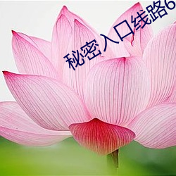 秘密入口線路6
