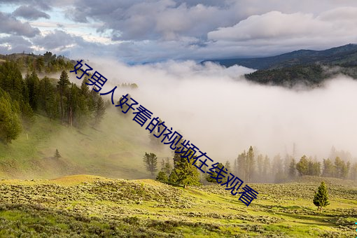 好男(n¨¢n)人好看的视频在(z¨¤i)线观看(k¨¤n)