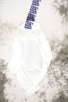 锕锕锕(ā)锕锕锕锕WWW好湿不(bù)收(shōu)取费用?水友亲测:随便看!