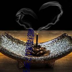 臧精阁17岁安全入口 （毁不危身）