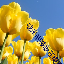 戒未(未)删减(減)版在电(電)影线观看(看)