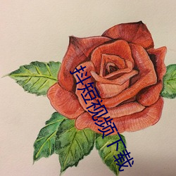 抖短視頻下載