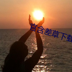 官含差草下载
