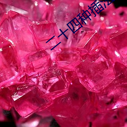二十四种插法 （重生父母