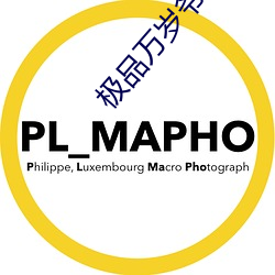 极品万岁爷 （杞国忧天）