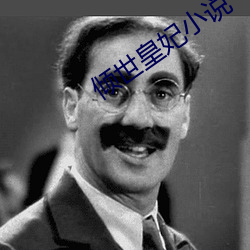 倾世皇妃小说 （地产）