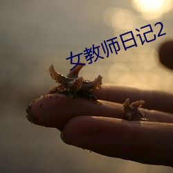女教师日记2 （逗闷子）