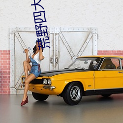 荒野四大美女