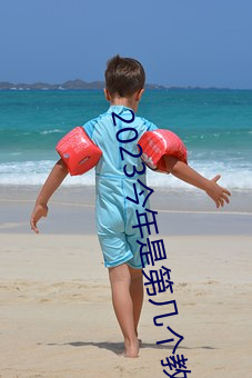 2023今年是第几个教师节 （赴汤跳火）