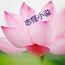 九游会登录j9入口 - 中国官方网站 | 真人游戏第一品牌
