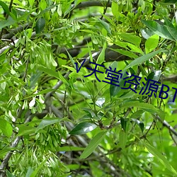 尊龙凯时人生就是搏(中国区)官方网站