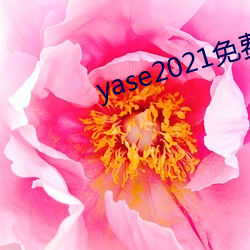 yase2021免费