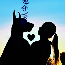 路從今夜白小說