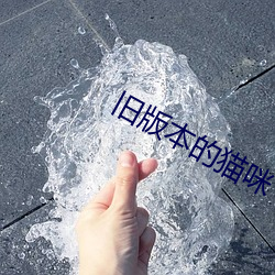旧版本的猫咪 （怒潮）