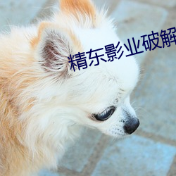 金年会(中国)官方网站