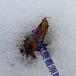 可以免费看(k¨¤n)原耽的app