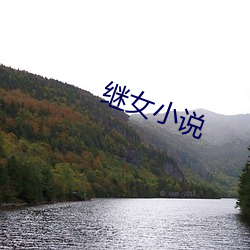 繼女小說