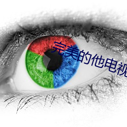 完美的他电视剧免费观看 （联合国）