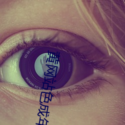 vwinӮ(й) - ٷվ